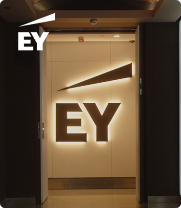 Enlace a Assurance Journey by EY