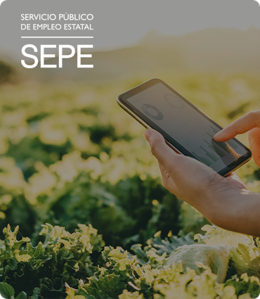 Enlace a Aprende Volando