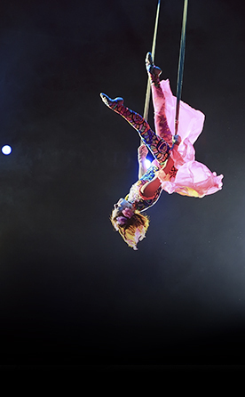 Oferta flash job en Circo del Sol
